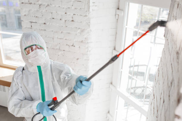 Best Post-Remediation Verification Testing  in Cheat Lake, WV